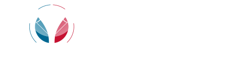 SOFINS 2019